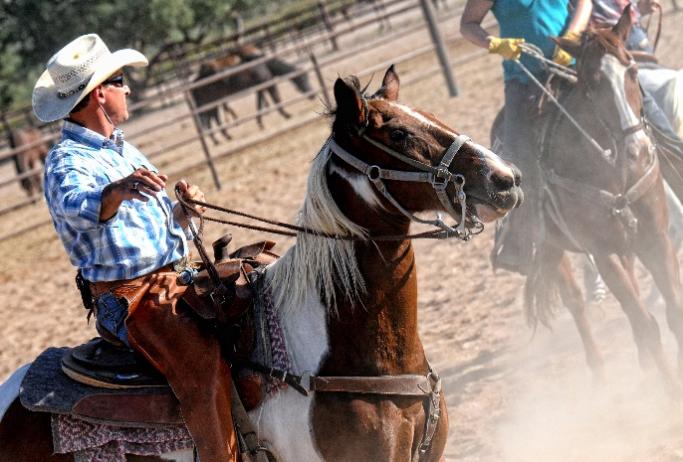 E:\AOT\newsletter\2022\July\Tucson - White Stallion Ranch_ photo credit Christine C. Photographie.jpg