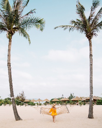 沙滩上的棕榈树 描述已自动生成