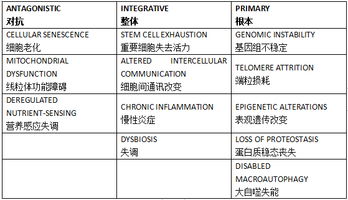 迪奥美妍科学中心御龄科技 秉持进取精神 让女性享受从容时光