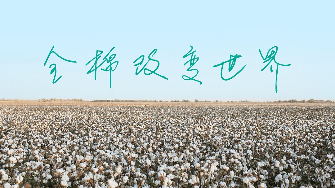 一朵棉花的故事：如何从零开始构建和深耕用户价值？