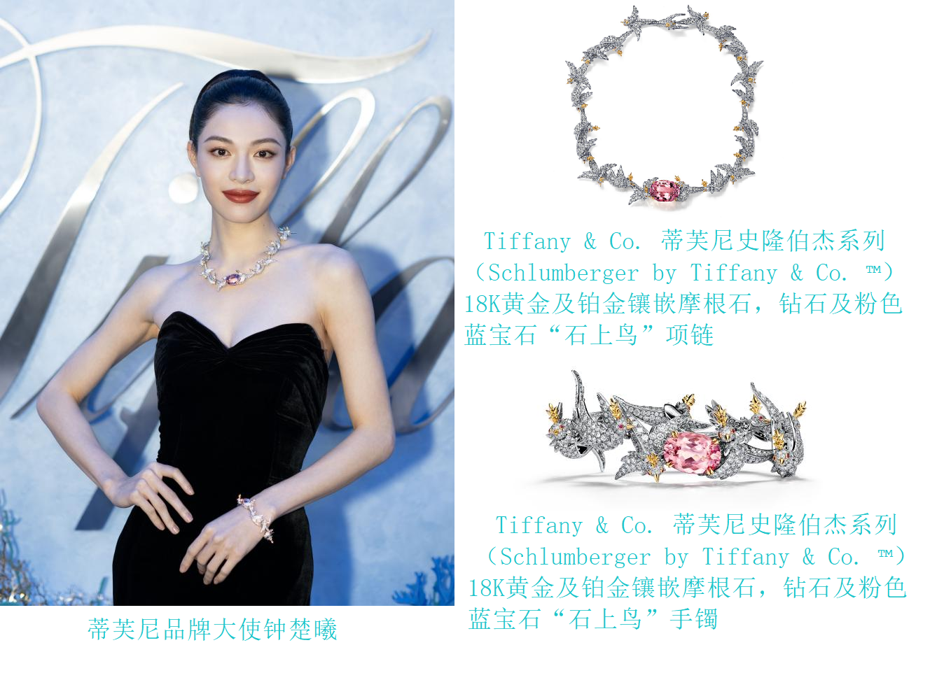 群星展示蒂芙尼2023高级珠宝系列 共享璀璨时刻