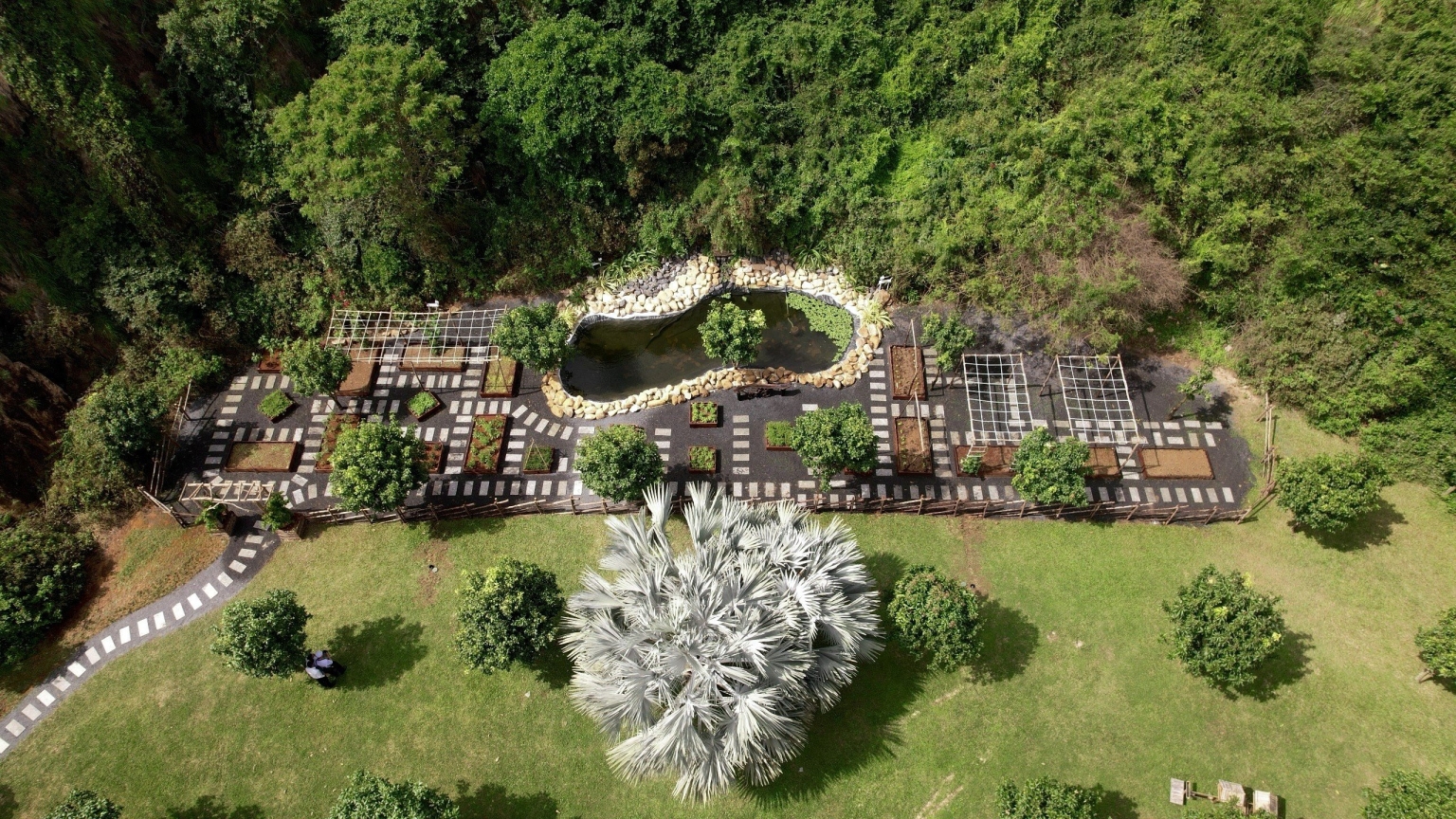 芽庄鸿翠岛万豪水疗度假酒店推出 M Valley：以开创性的方式建立一片生态保护区