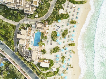 卓美亚逸宫酒店推出全新海龟主题住宿体验  庆祝迪拜海龟救助放归项目创立 20 周年