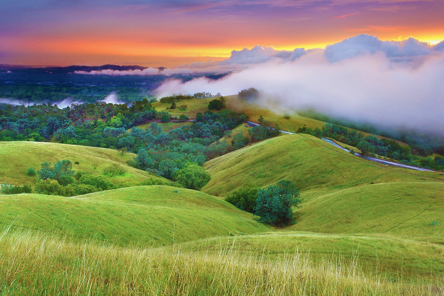 thumbnail_Mt. Diablo Fog at Sunrise_2014