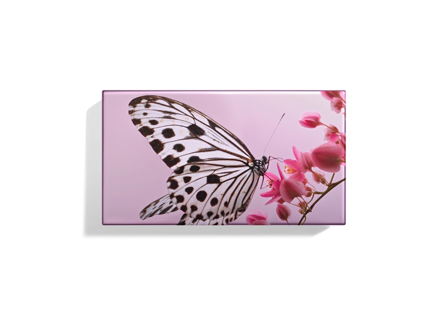 A butterfly on a pink flower AI-generated content may be incorrect.