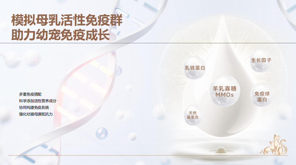 图示 AI 生成的内容可能不正确。