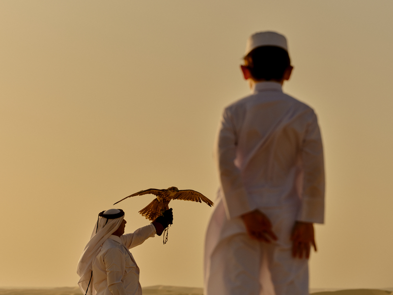 RWDHA_Destination_Falconry_109