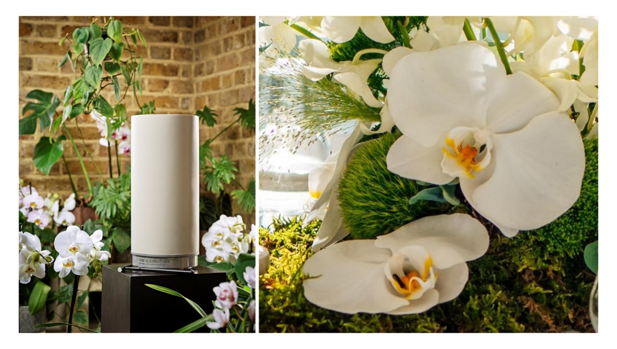 格兰路思51年单一麦芽苏格兰威士忌  以时光为刃，重塑收藏艺术的里程碑​