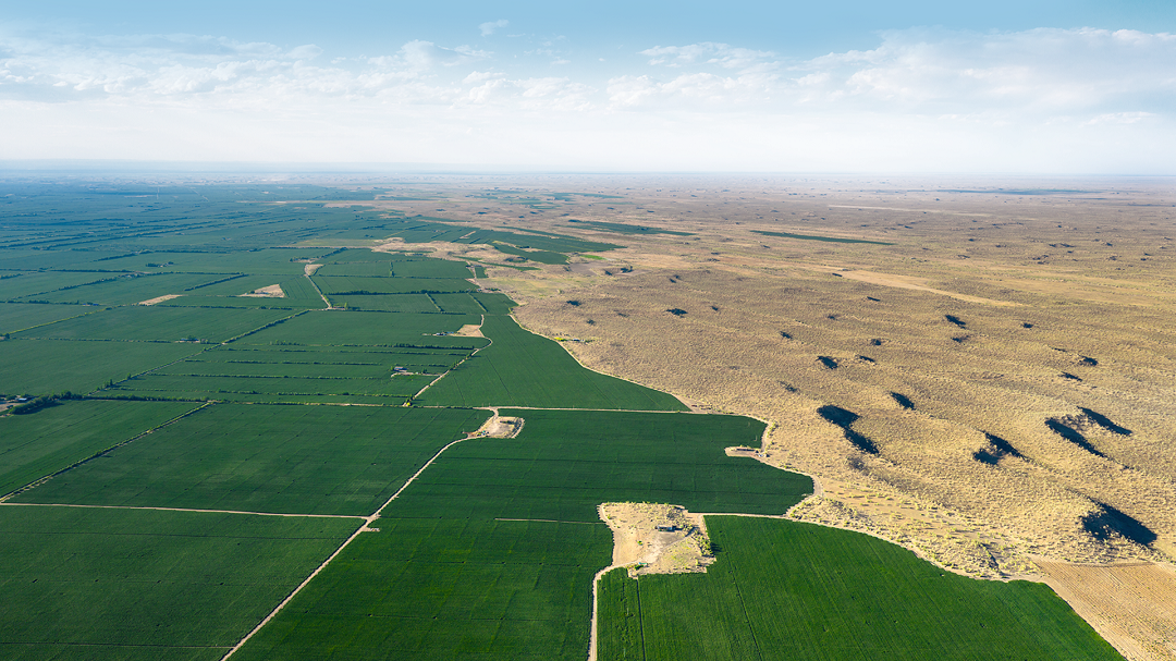 一朵棉花如何改变荒漠，也支撑起全球数亿人的生活？