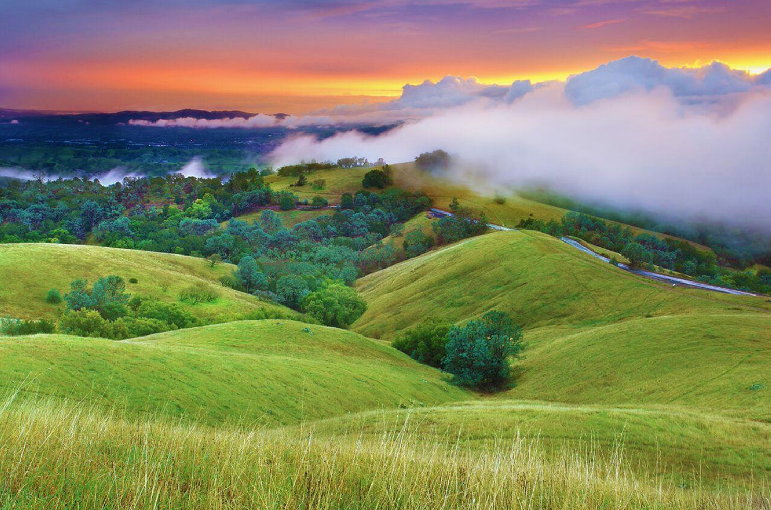 草地上有许多云 AI 生成的内容可能不正确。