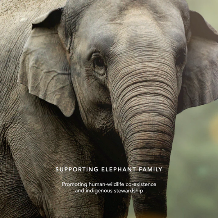 香缇卡花妍柔缎唇膏全新上市  以质感裸色，诠释松弛而自信的当代美学