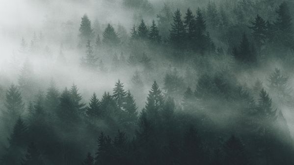 Gaggenau工人在Lipsheim的装配线上调整烤箱门。