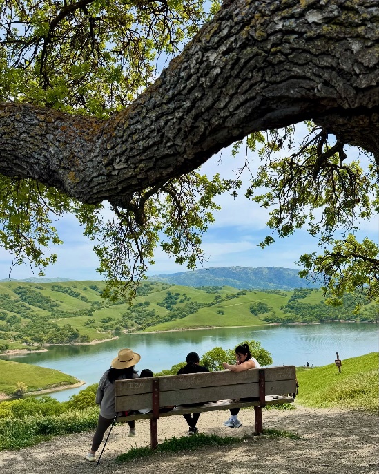 湖边的树下有一把椅子

AI 生成的内容可能不正确。