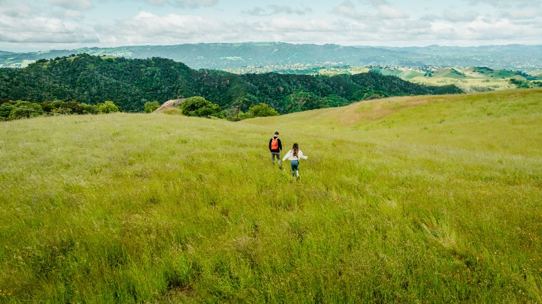 草地上的牛

AI 生成的内容可能不正确。