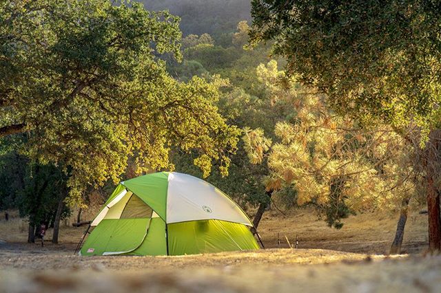 加州三谷地区的春日盛景