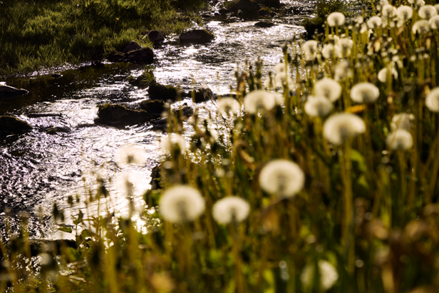 格兰路思：以私藏纯净水源，呈现时光臻味