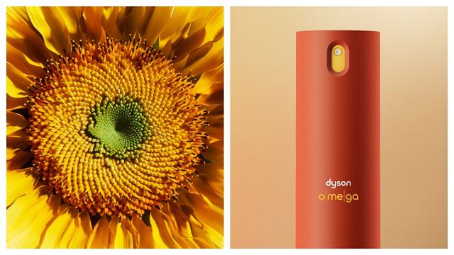 向日葵的花 AI 生成的内容可能不正确。