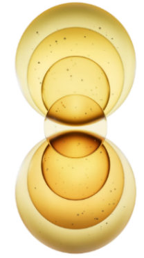 A group of yellow circles AI-generated content may be incorrect.