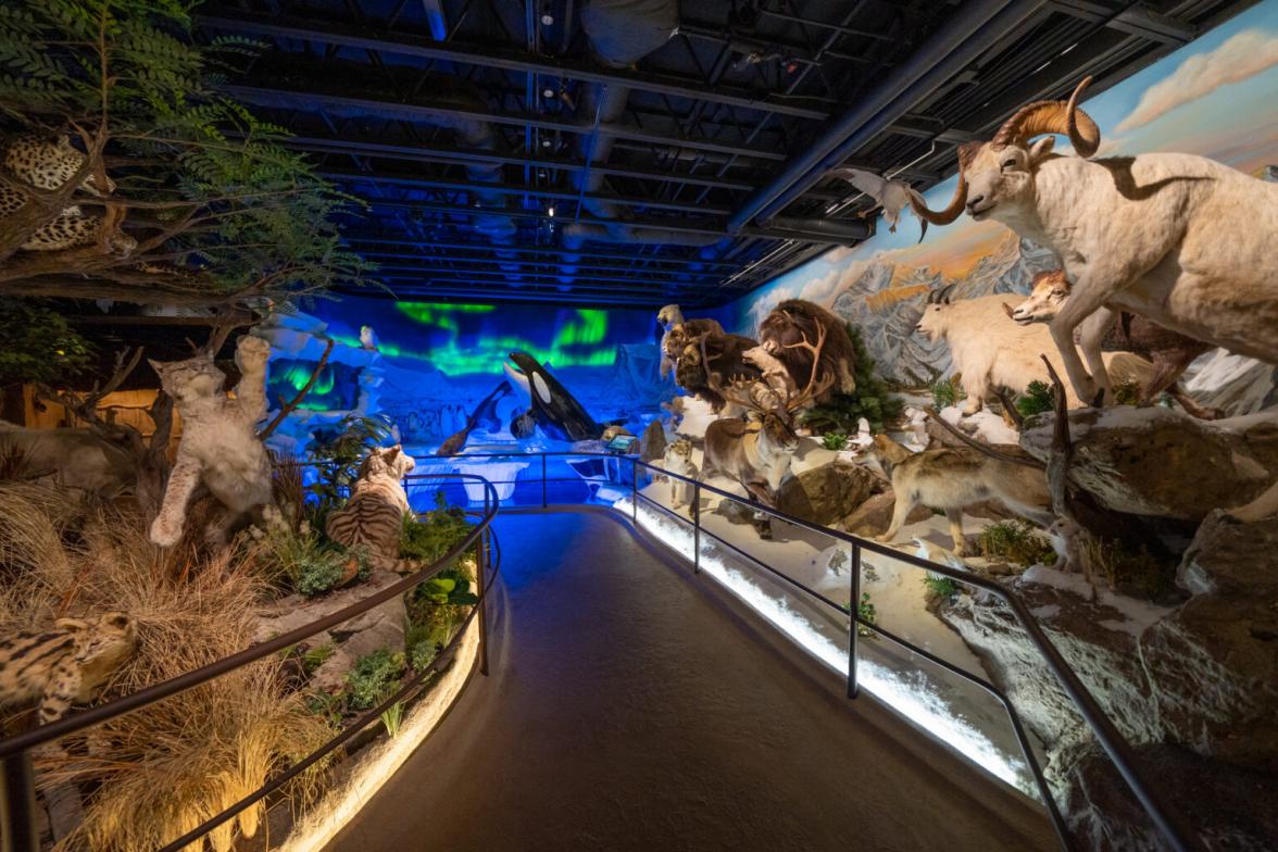 tri-valley-13-1-1536x1024